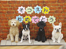 こんな卒園記念写真も撮るそうだ。