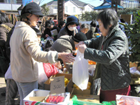 作品展の朝、園内には地元の農家、商店の人達による野菜、果物、海産物などを格安販売する市場が立つ。これも園児保護者の楽しみで、どのお店も1時間ほどで完売する。
