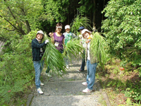 森の中で草木染めの材料を集める先生たち。(愛知県私立幼稚園連盟の教員研修会で)